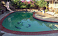 Dolphin pool